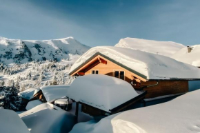 Heidi Chalets Falkert Heidialm - Chalets Bergwinter